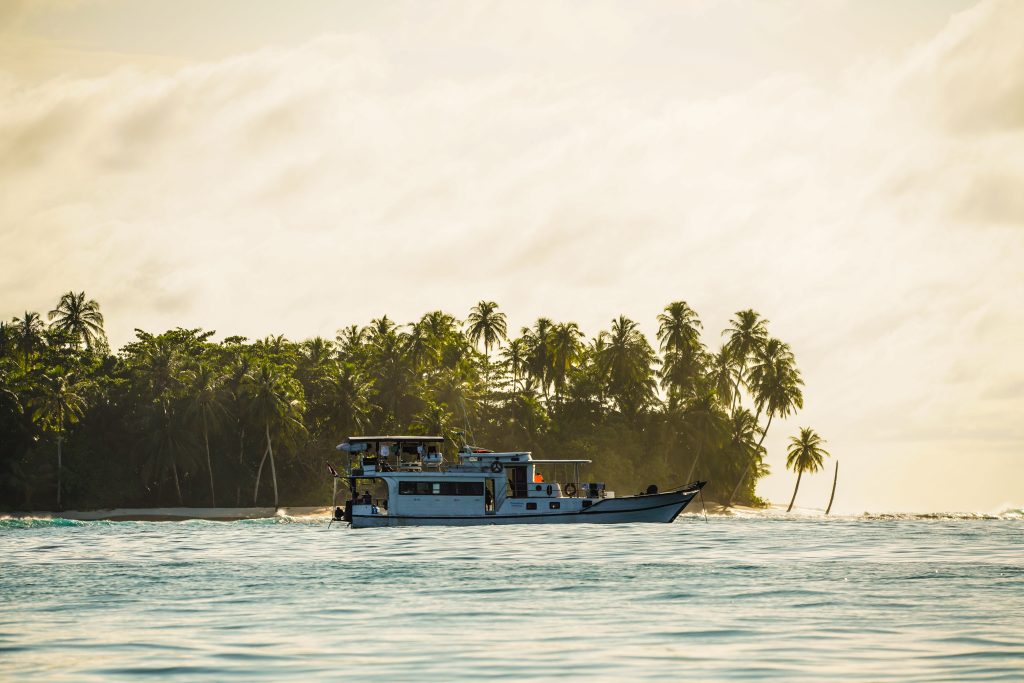 Saraina Surf Charters
