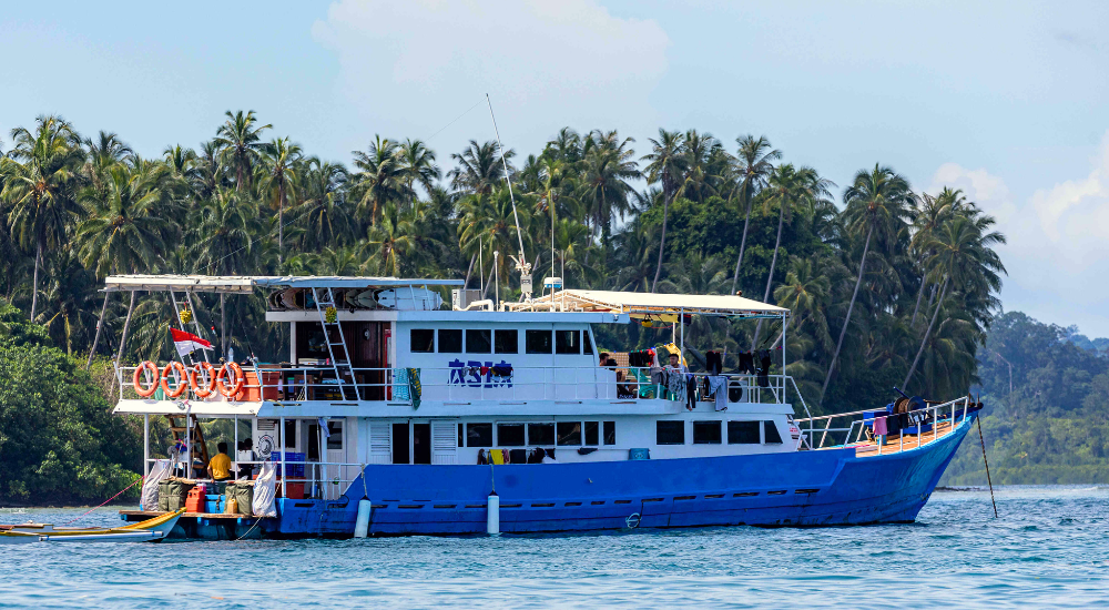 Asia Surf Charter