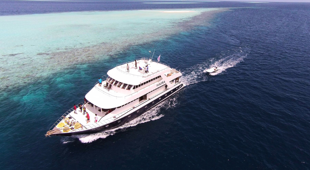 Haira Surf Charter