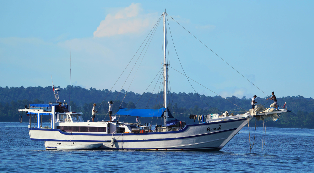 Nomad Surf Charter 