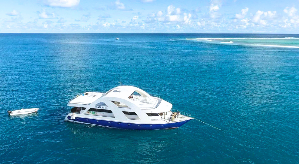 Hamathi Surf Charter