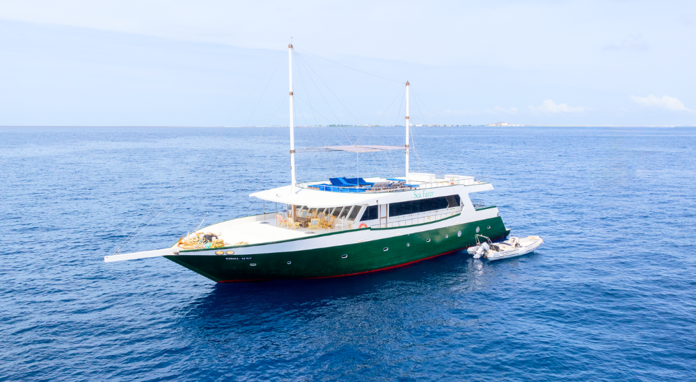 Sea Farer